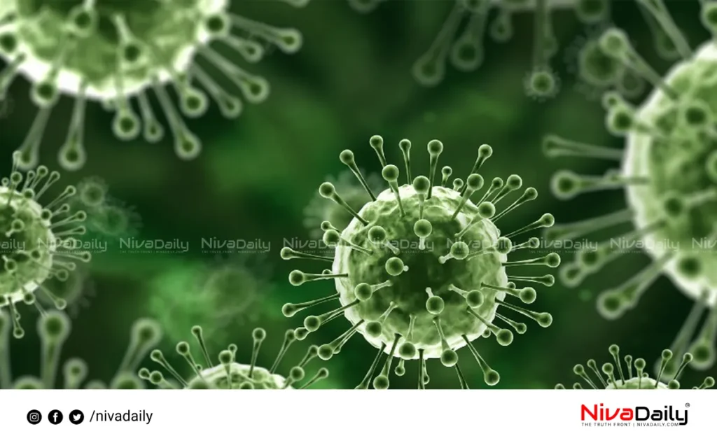 Nipah virus outbreak