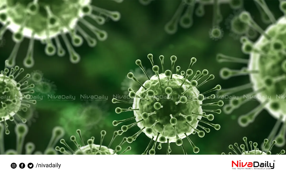 Nipah virus outbreak