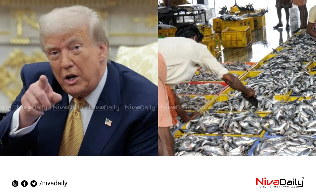 US tariff on India