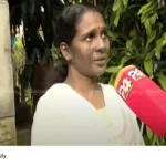 Fake theft case