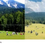 Pahalgam terror attack