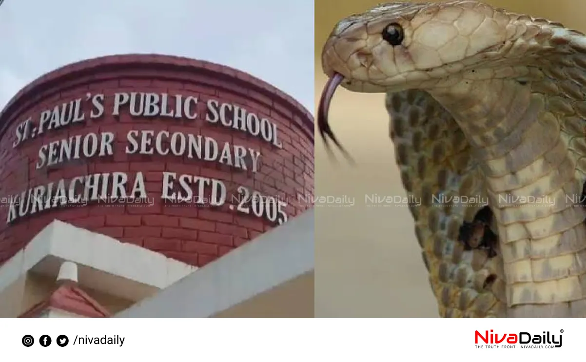 Cobra Found in School