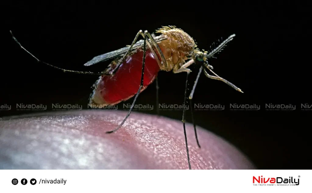 mosquito control system