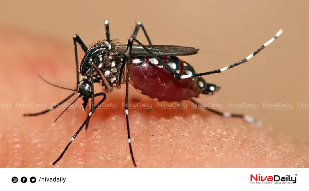 dengue fever outbreak