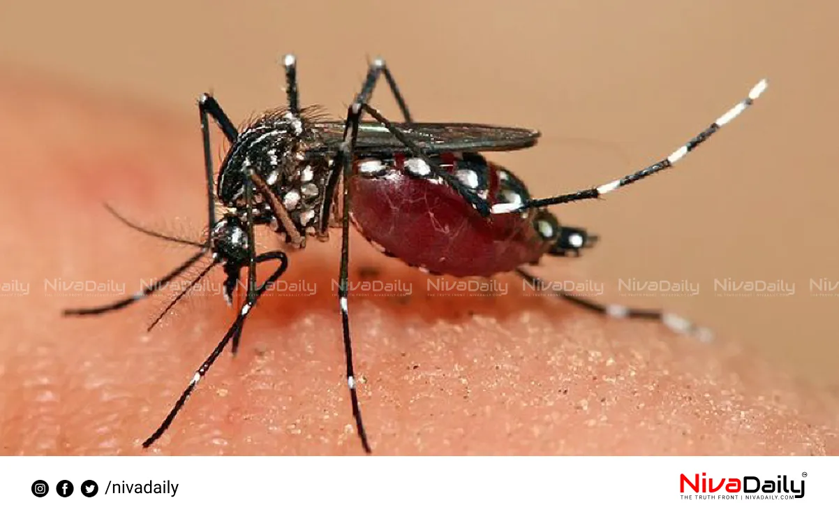 dengue fever outbreak
