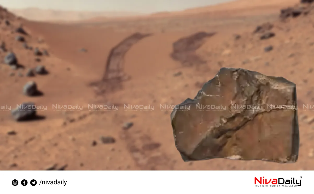 Martian meteorite auction