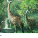 giant moa recreate