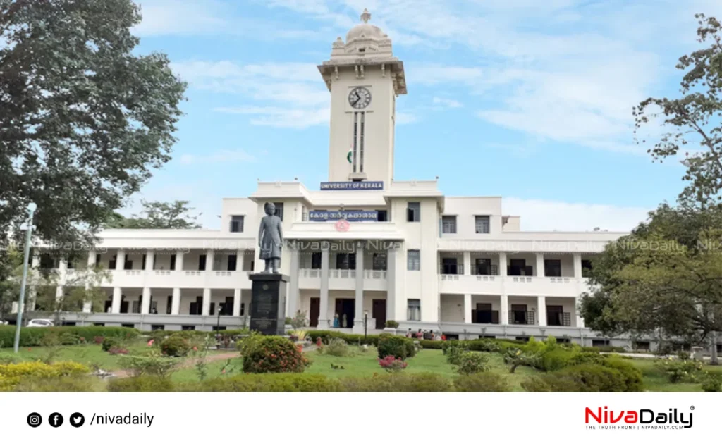 Higher Education Sector