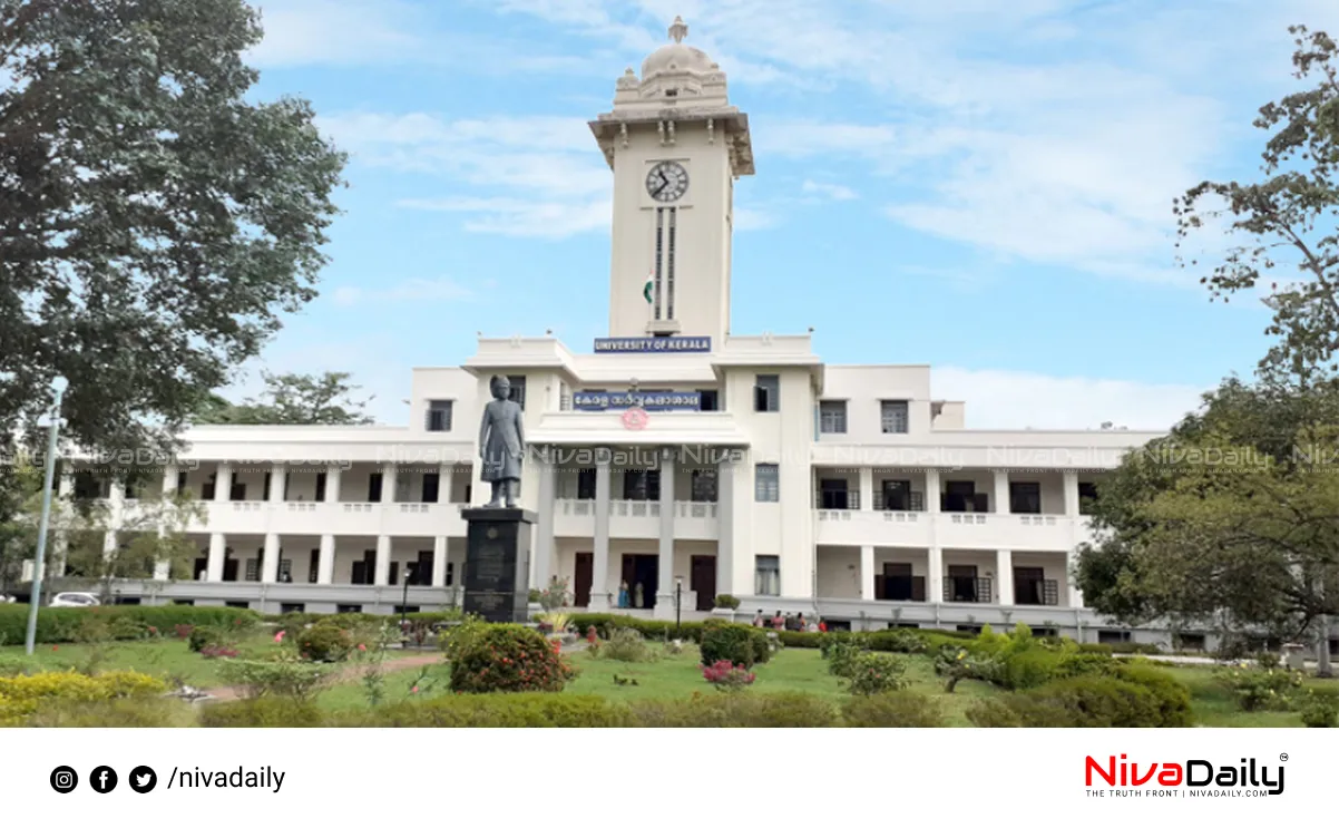 Higher Education Sector