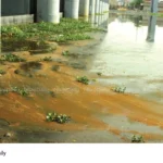 Periyar River pollution