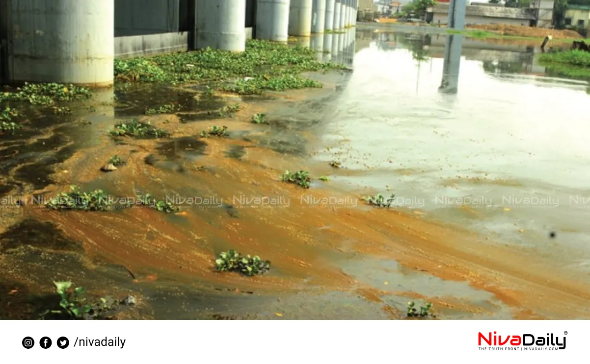 Periyar River pollution
