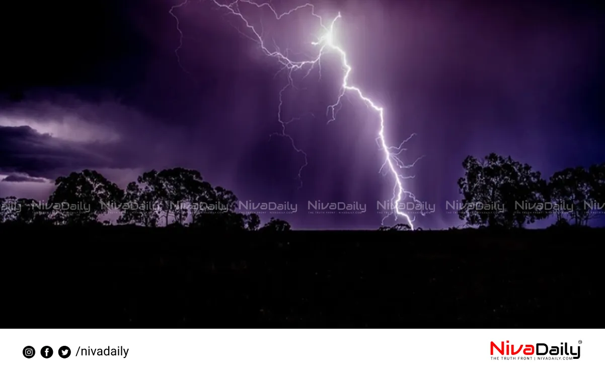 Bihar lightning deaths