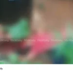 mother-in-law murder