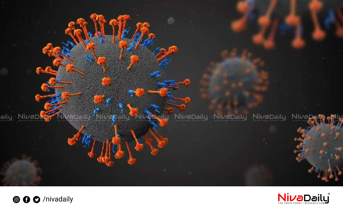 Kerala Nipah situation