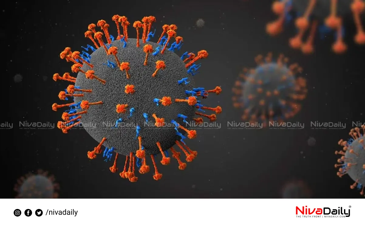 Nipah virus outbreak
