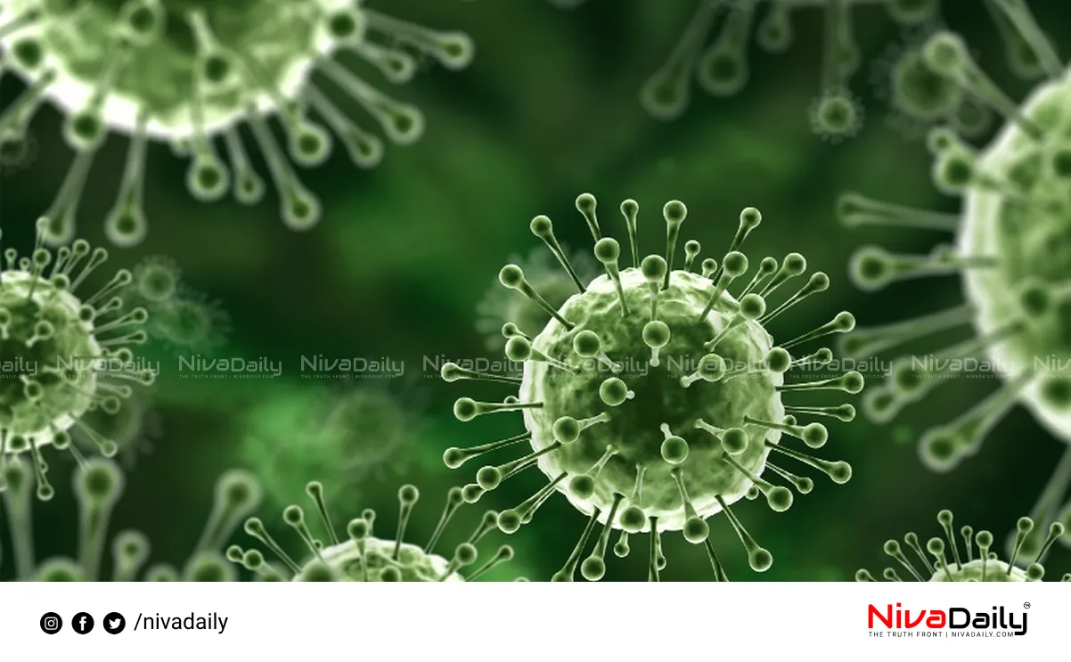Nipah virus Kerala
