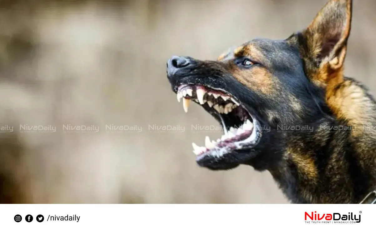rabies deaths Kerala