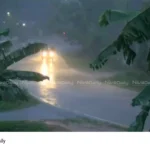 Kerala monsoon rainfall