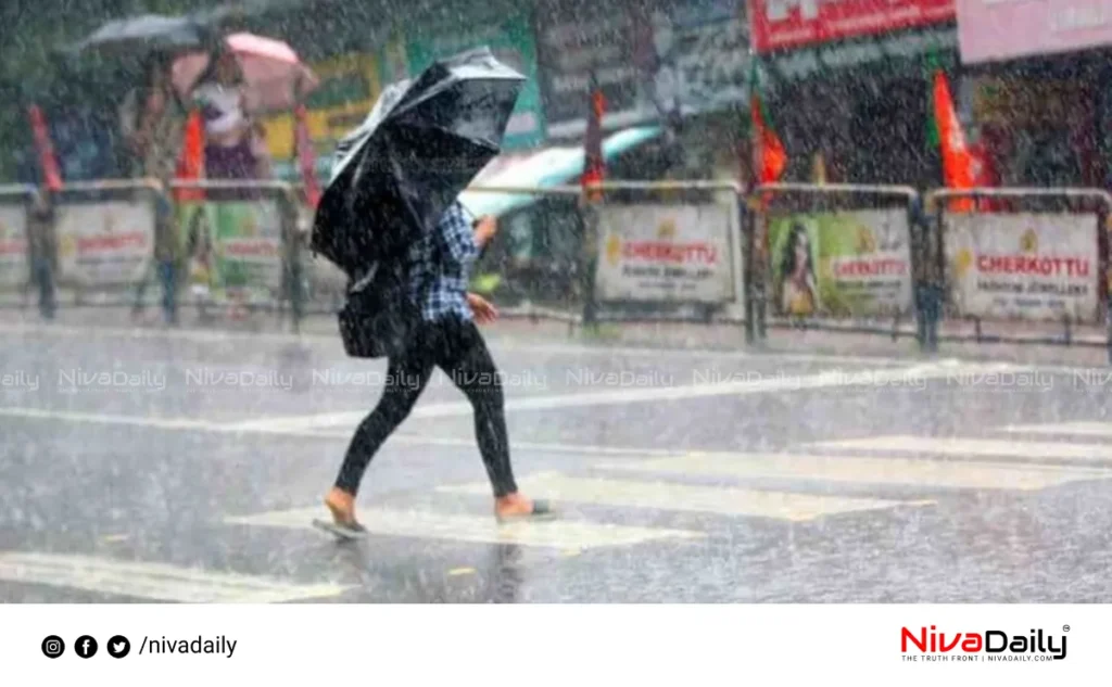 Kerala monsoon rainfall