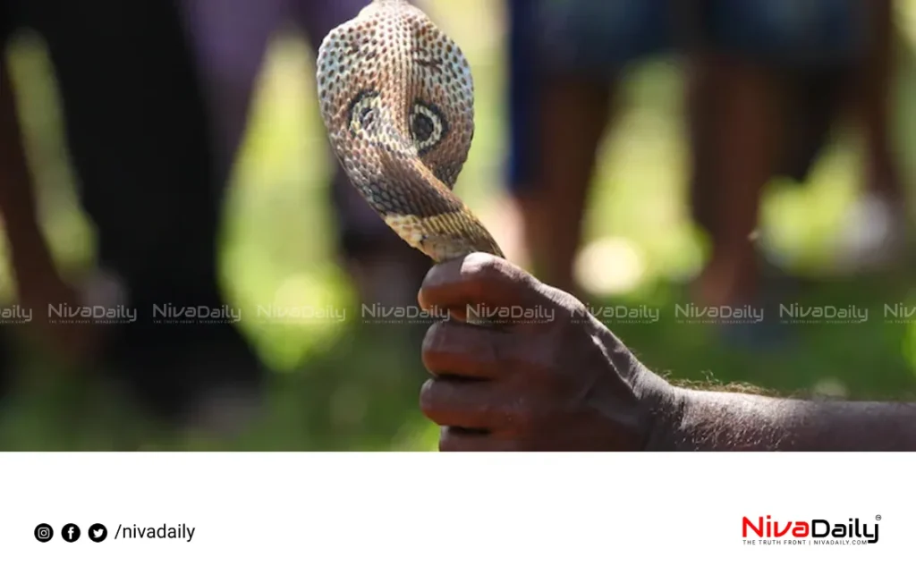 snake catchers insurance