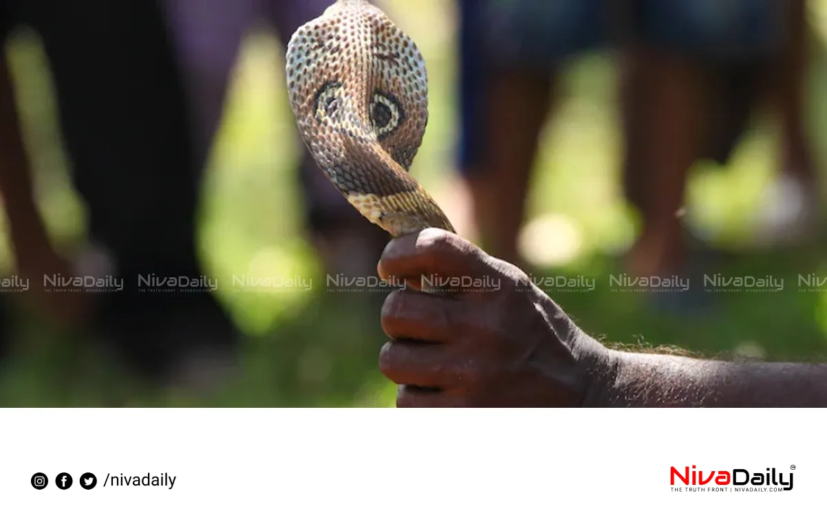 snake catchers insurance