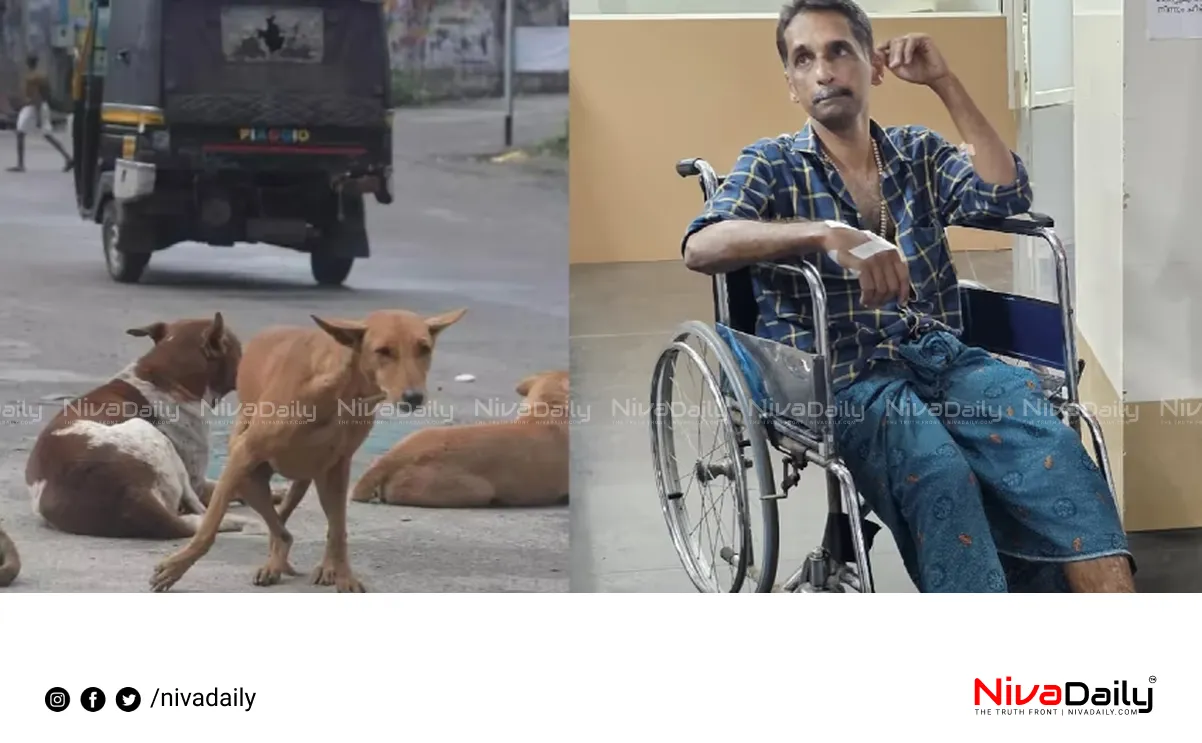 stray dog attack