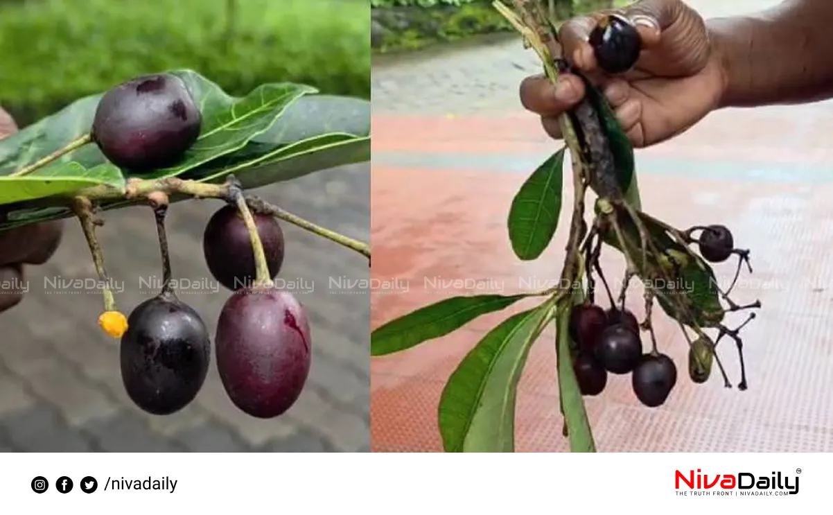 poisonous fruit eating