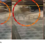 Alappuzha bus accident