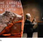Martian meteorite auction