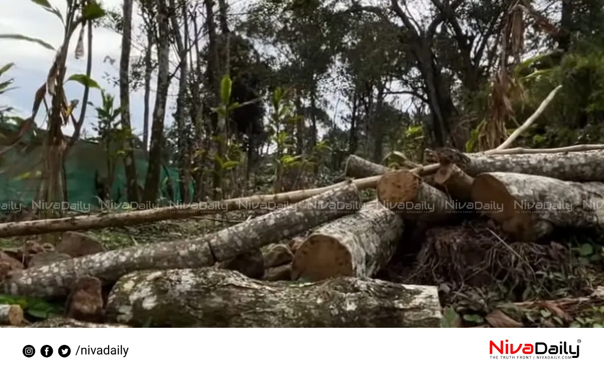 Timber theft