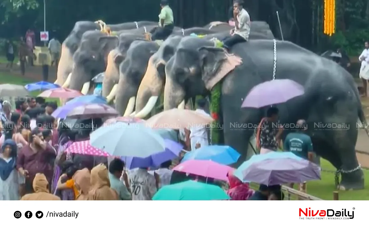 Thrissur Aanayoottu festival