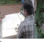 Vigilance raid