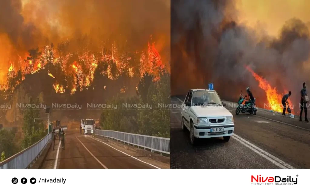 Greece Turkey Wildfires
