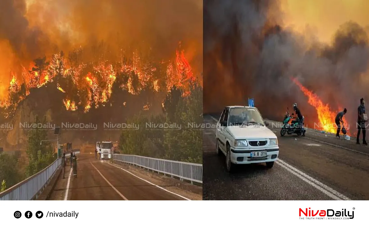 Greece Turkey Wildfires
