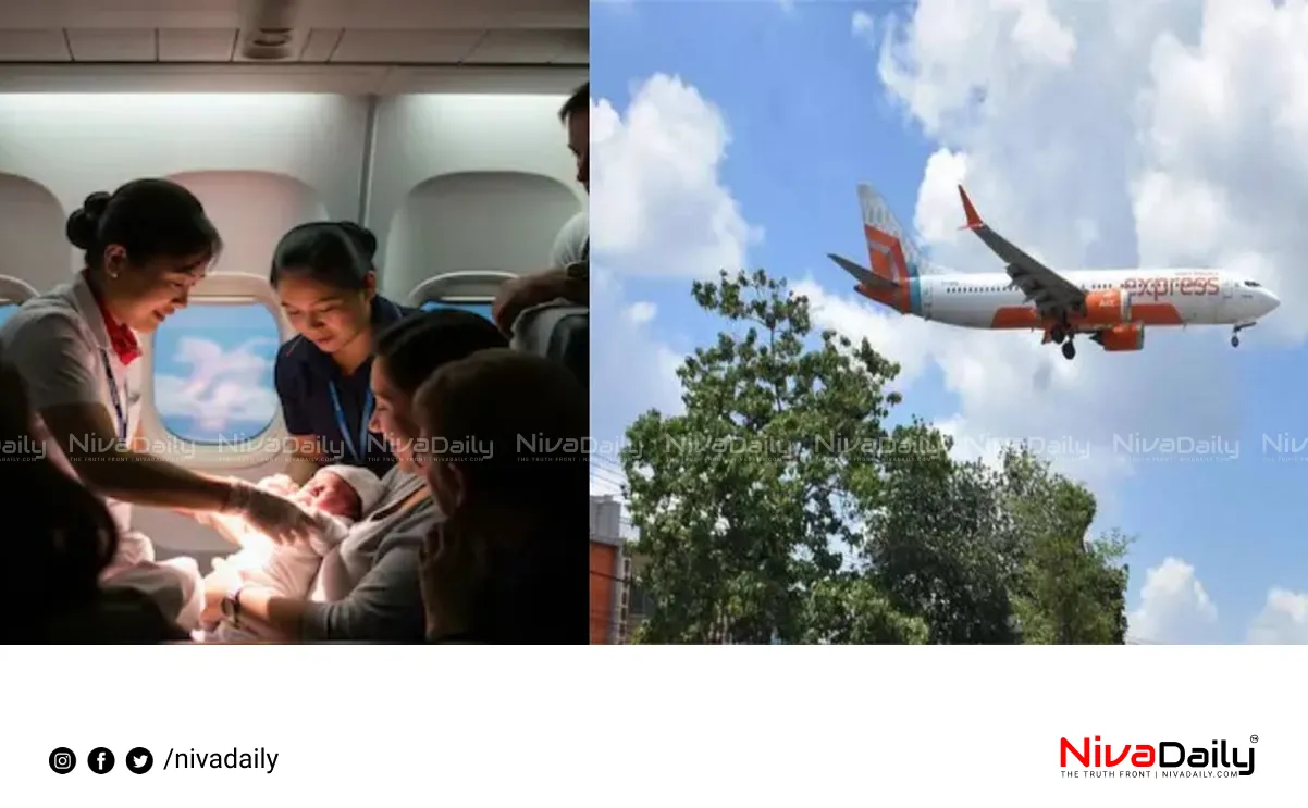 Air India Flight Birth