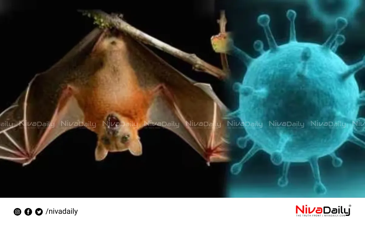 Nipah virus Malappuram