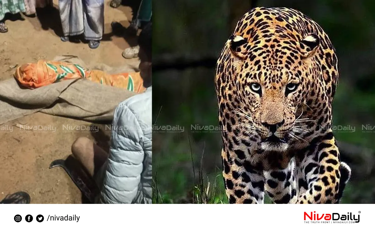 Valparai leopard attack