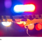 Kochi kidnapping case