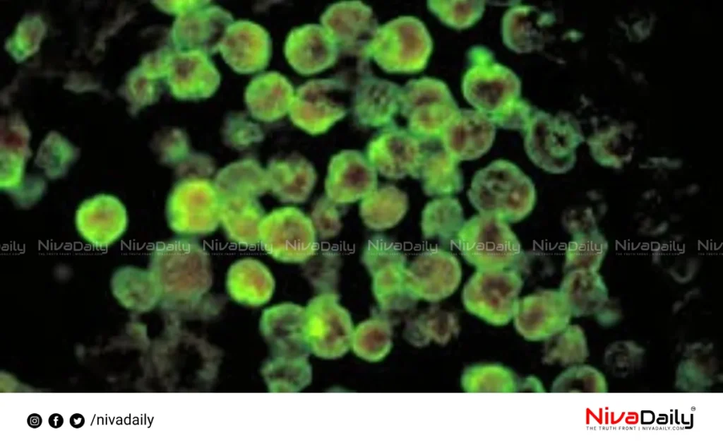 Amebic Meningoencephalitis