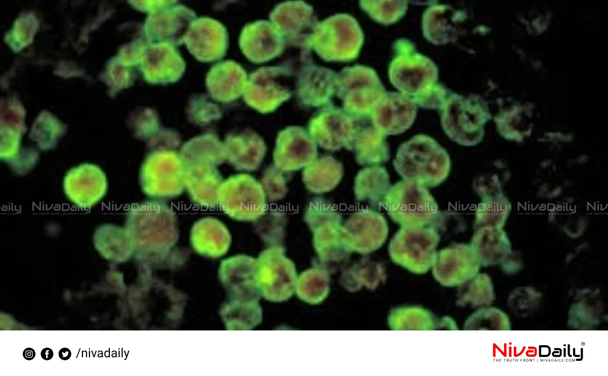 Amebic Meningoencephalitis