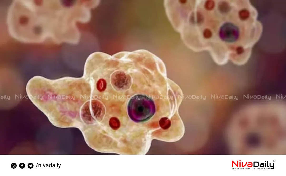 Amoebic Meningoencephalitis Kerala