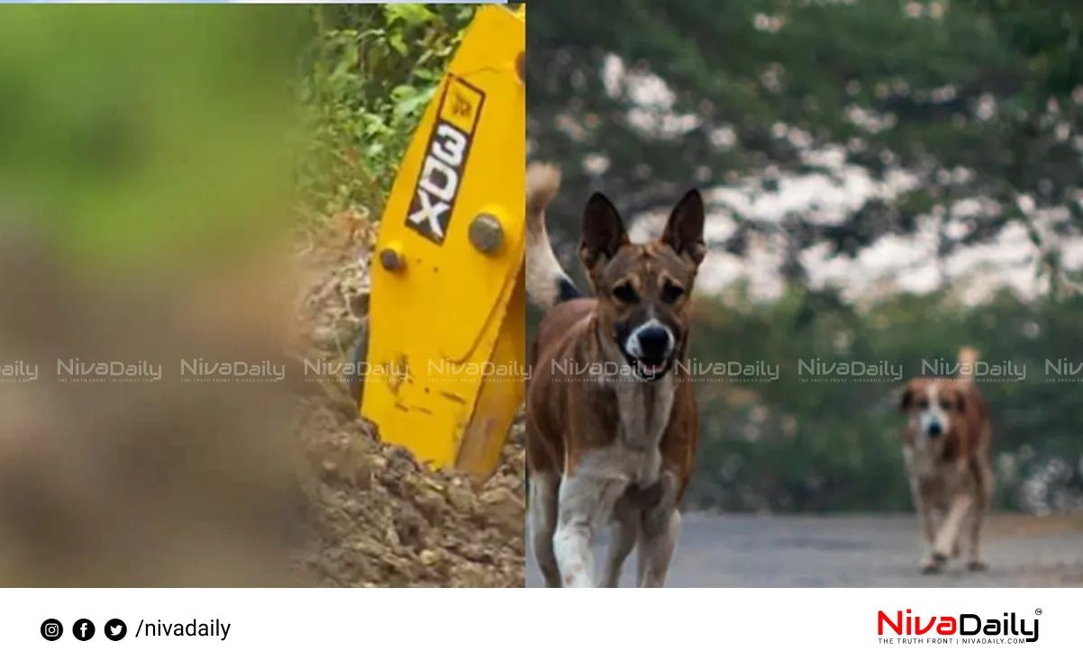 stray dogs burial
