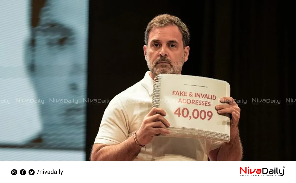 vote fraud allegations