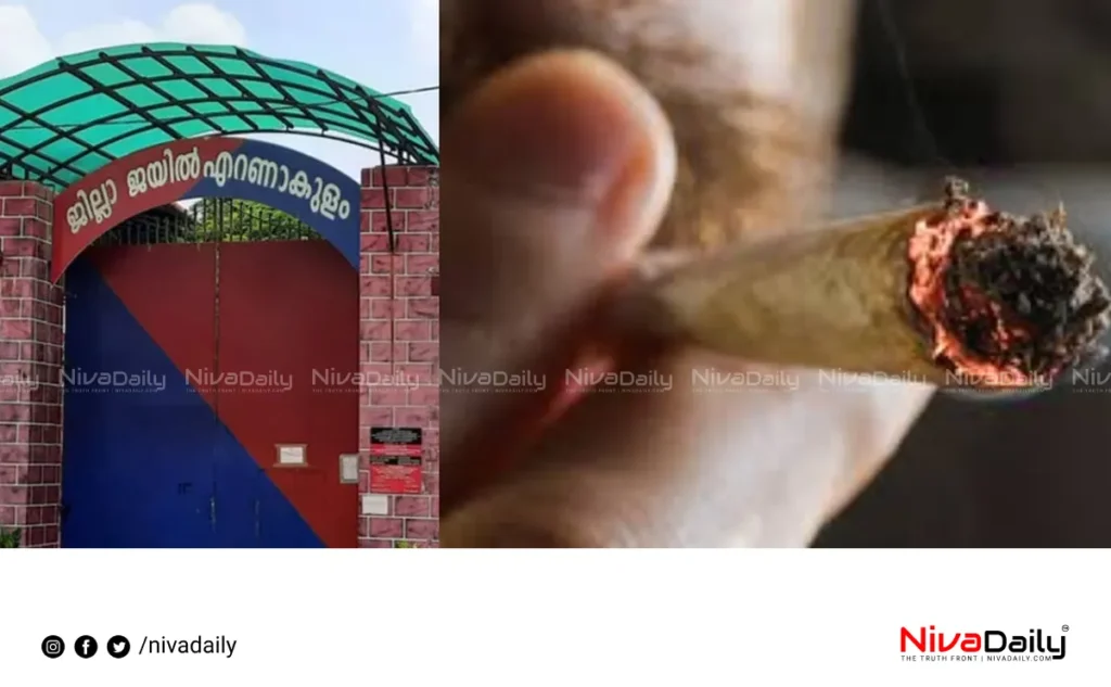 Kakkanad jail drug bust