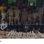 sandalwood smuggling