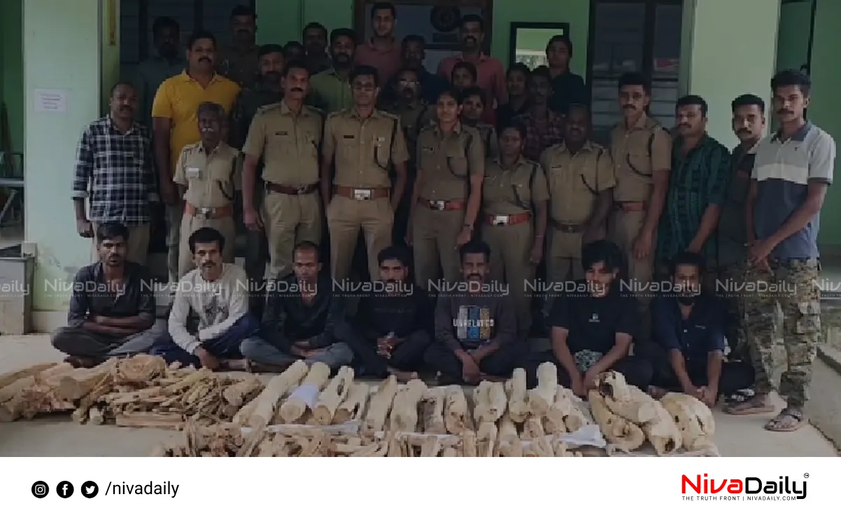 sandalwood smuggling
