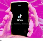 TikTok India return
