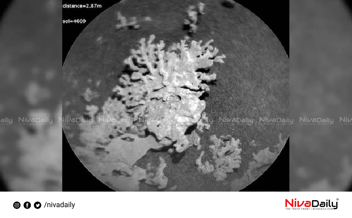 Mars Curiosity rover
