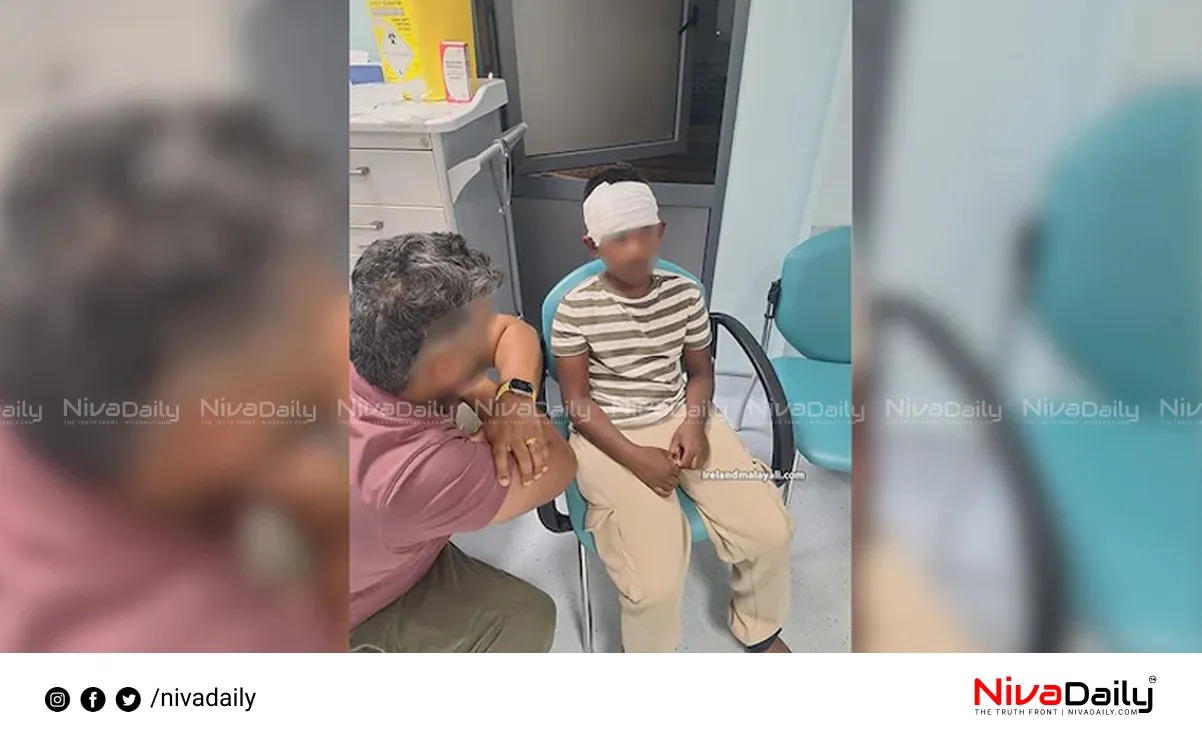 racial attack Ireland