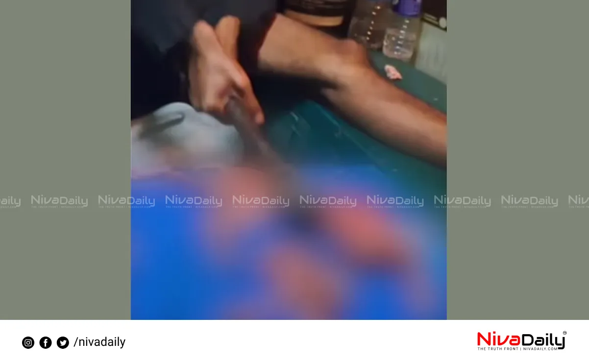 cat killing case